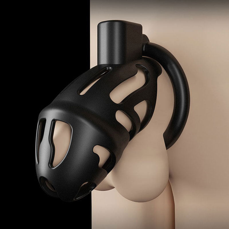 Erotic Penis Lock