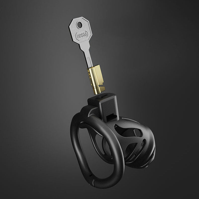 Erotic Penis Lock