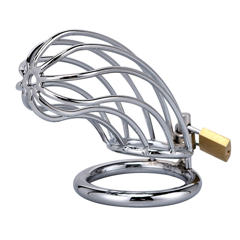 Male chastity lock (sexual toy)